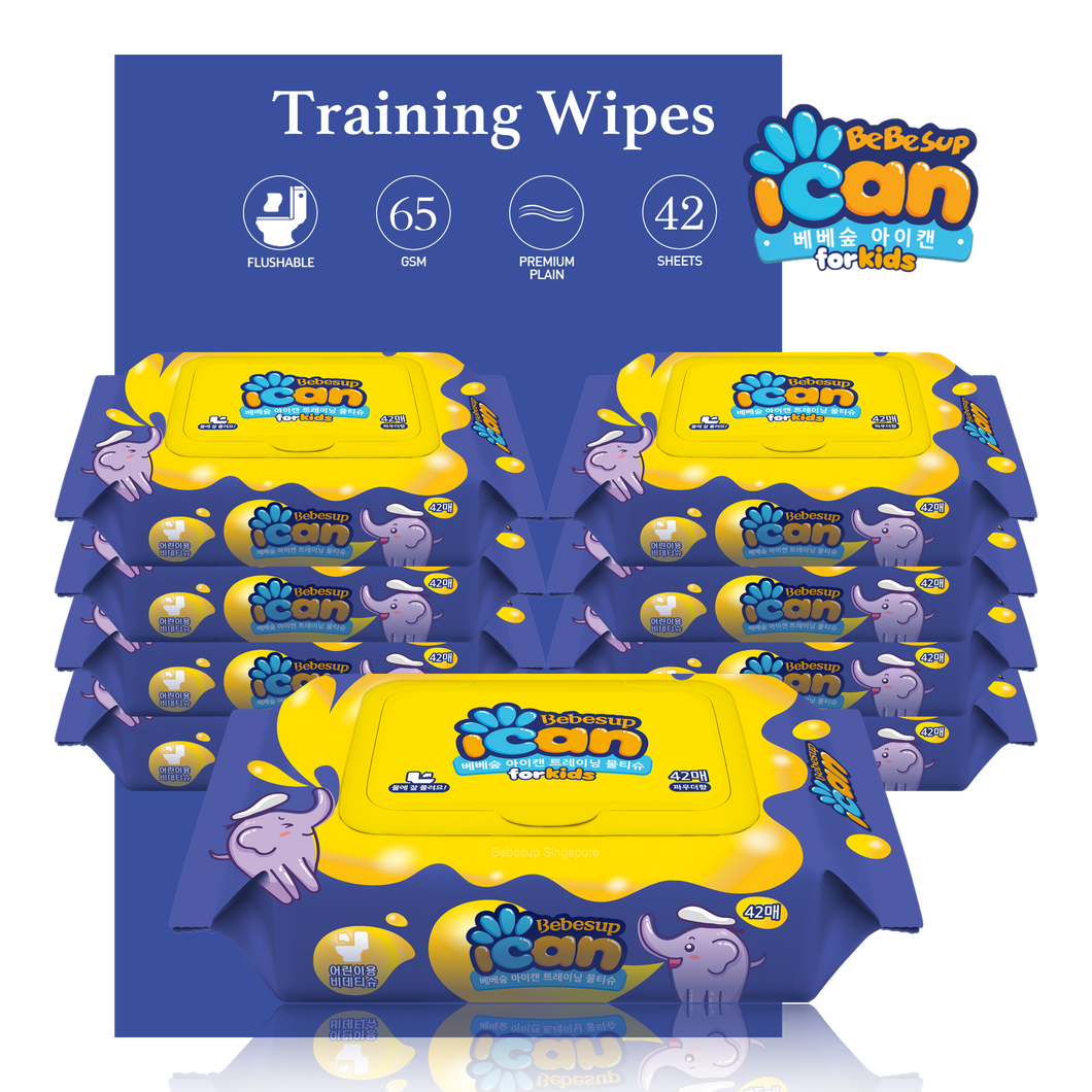 [Flushable] ICAN Training Wipes, 42s x 9 packs