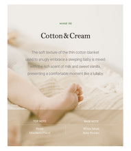 Premium Laundry Detergent - Cotton & Cream, 1L