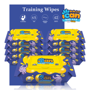 ICAN Flushable Training Wipes, 42s x 9 packs